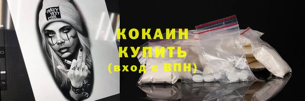 дживик Касимов