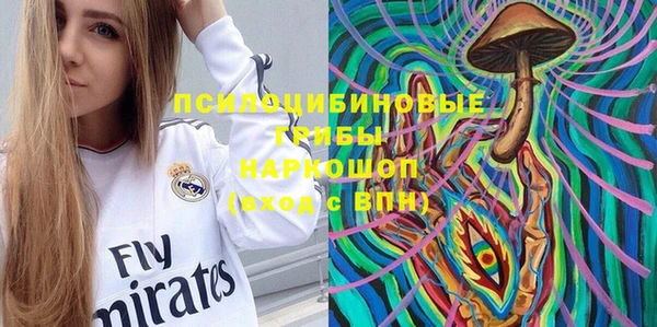 дживик Касимов